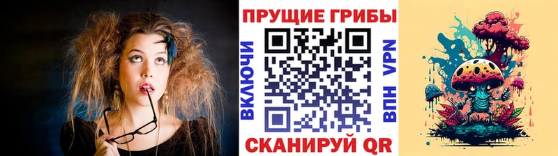 купить  цена  Ершов  Псилоцибиновые грибы мухоморы 
